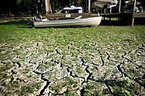 美國遭受56年來最嚴重干旱 農牧業受挫