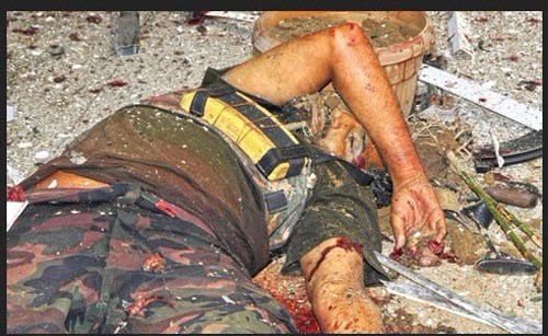 ���������������b���ӵ�ʬ�w