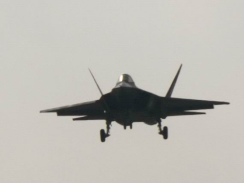 �Y�ψD����31��(zh��n)�C(j��)�ɹ�ԇ�w