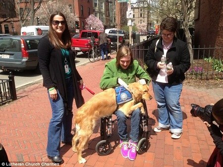 ��ëȮ���Შʿ�D���^������