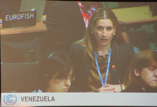 委內瑞拉美女談判代表克勞迪婭·薩勒諾在氣候談判全會上發言。<a target='_blank' >中新社</a>周銳 攝。 委內瑞拉美女談判代表克勞迪婭·薩勒諾在氣候談判全會上發言。<a target='_blank' >中新社</a>周銳 攝。