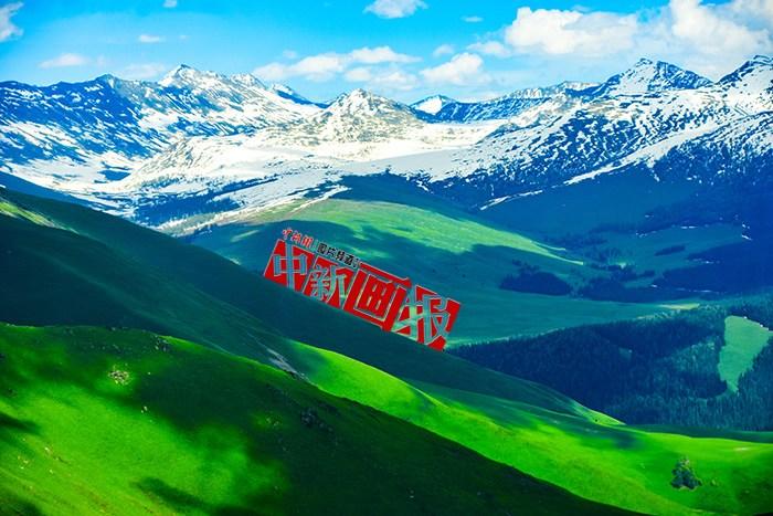 將夏天的“綠” 裝進屏幕里，一組護眼壁紙請查收！