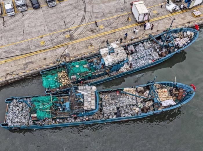 山東榮成：秋捕歸來(lái)魚滿艙