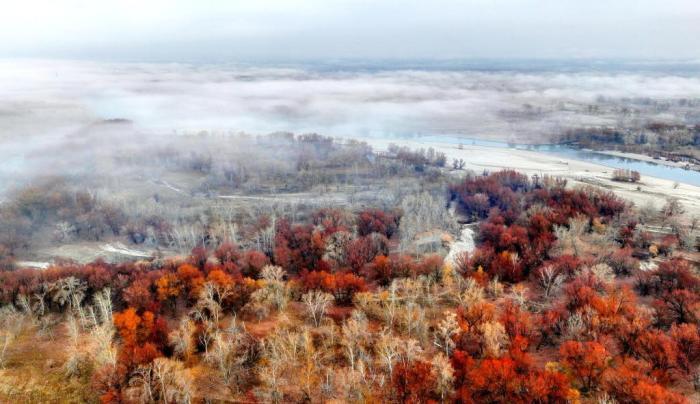 額爾齊斯河新疆北屯段現(xiàn)壯美晨霧景觀(guān)