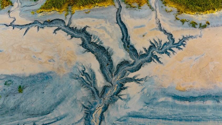 浙江嘉興“潮汐樹(shù)”景觀宛如水墨畫(huà)