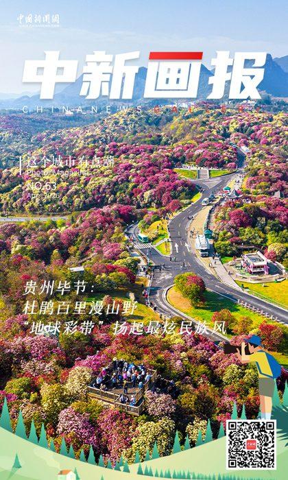 【這個城市有點潮】貴州畢節：杜鵑百里漫山野 “地球彩帶”揚起最炫民族風