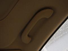 ��(gu��)��(n��i)��ÿ����nϵ܇���w�(y��n)Forte�����