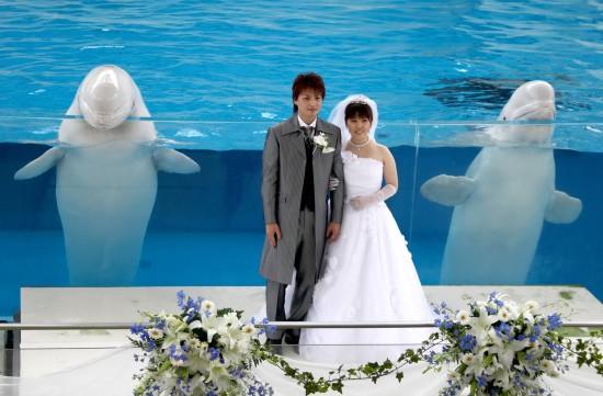 �M�D��һ���׺��������˳䮔���ɰ���