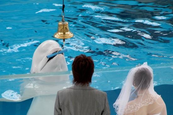 �M�D��һ���׺��������˳䮔���ɰ���