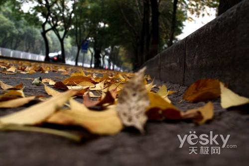 本周數碼相機市場 消費者關注度前十熱機