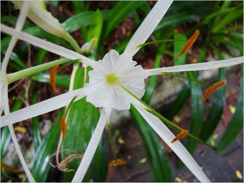 ���ܔ��a���C�Ј� ���M���Pע��ǰʮ��C