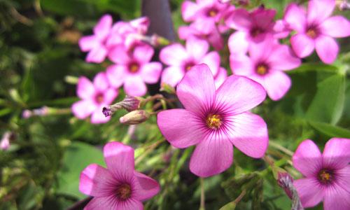 ���ܔ��a���C�Ј� ���M���Pע��ǰʮ��C