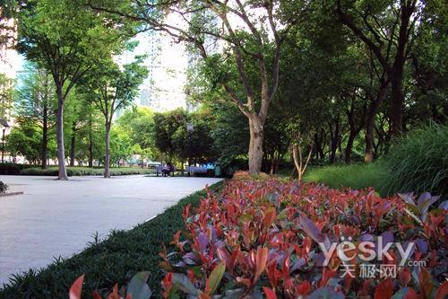 ����߀��Ϧ�(y��ng)�t ʮһ�����������C(j��)�xُ(g��u)?f��)��]