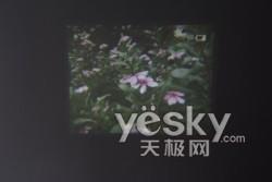 ��D�錦(du��)��ǰ���҈D�錦(du��)����