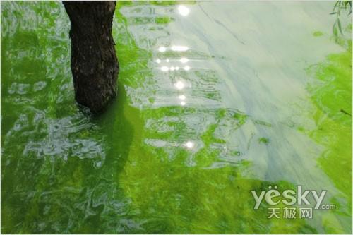 ̫��С��ƽ����� �����L����(sh��)�a���C���]