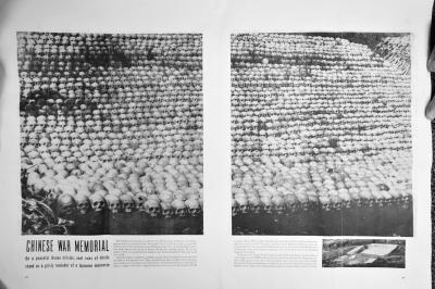 ��(d��ng)��İ׹��ա����޷���