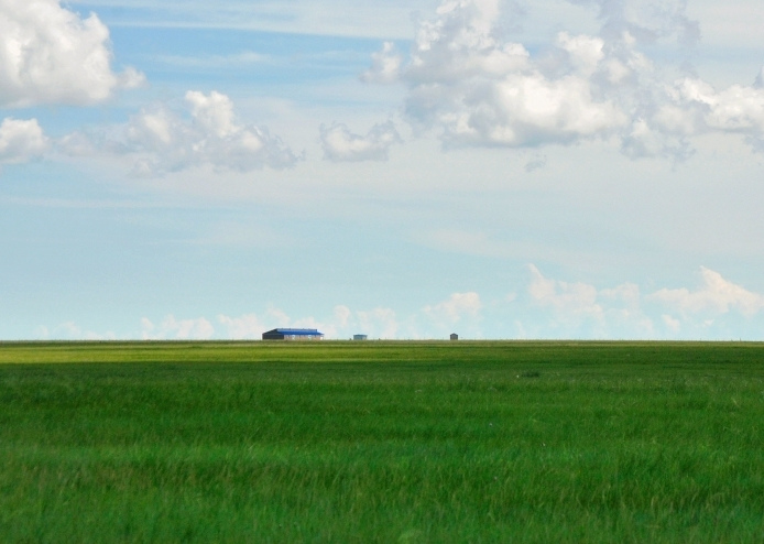 這個夏天，留一幀給“呼倫貝爾綠”