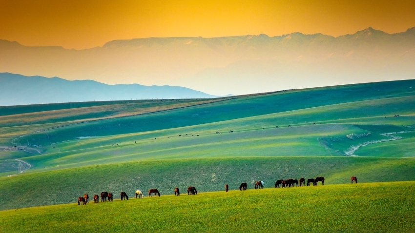 走進(jìn)“天”邊的畫卷 共赴大美新疆
