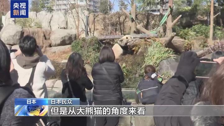 旅日大熊貓即將回國 日本民眾不舍送別