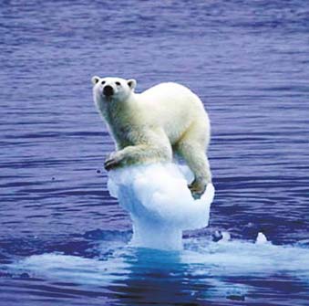 ��(y��ng)�����׃����ȫ���Є�(d��ng)