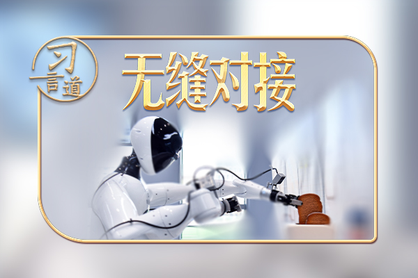 習近平的兩會之喻｜從“兩張皮”到“無縫對接”